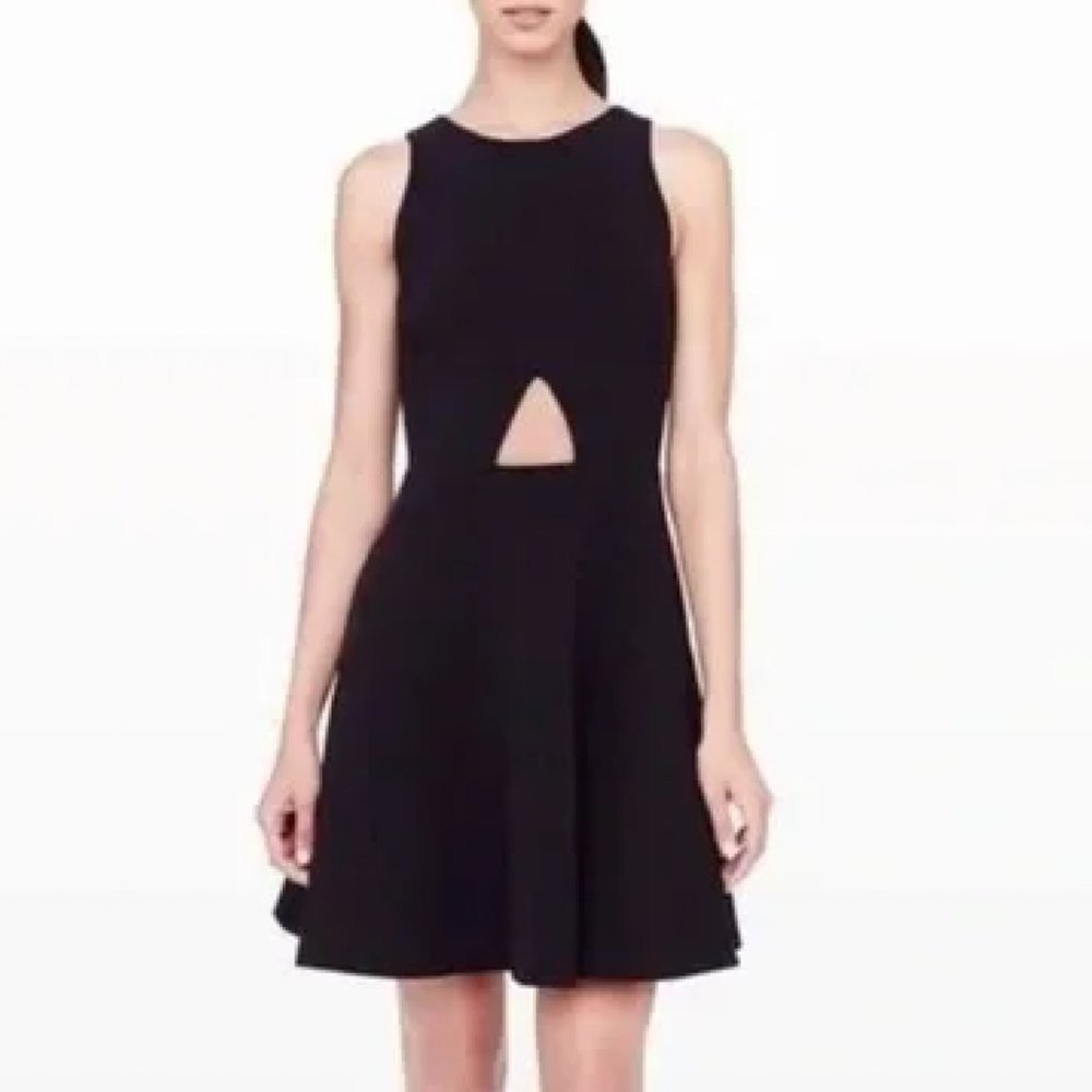 Club Monaco Lily Sleeveless Fit & Flare Black Dress